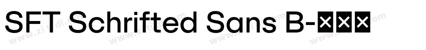 SFT Schrifted Sans B字体转换